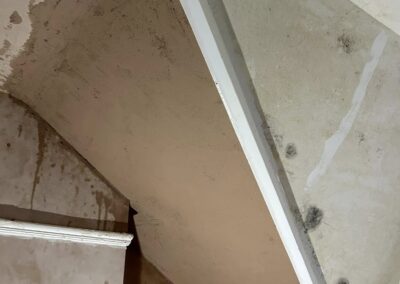 snc facebook gallery 28