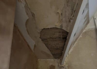 snc facebook gallery 31