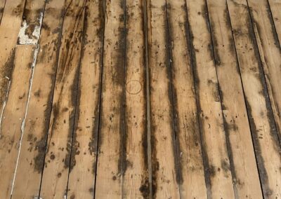 snc facebook gallery 39