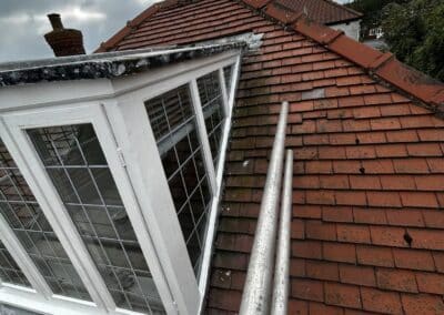 snc facebook gallery 62