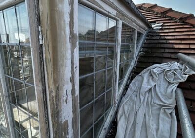 snc facebook gallery 64